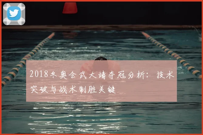 2018冬奥会武大靖夺冠分析：技术突破与战术制胜关键
