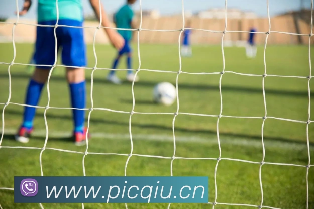 leyu官网入口发展历程